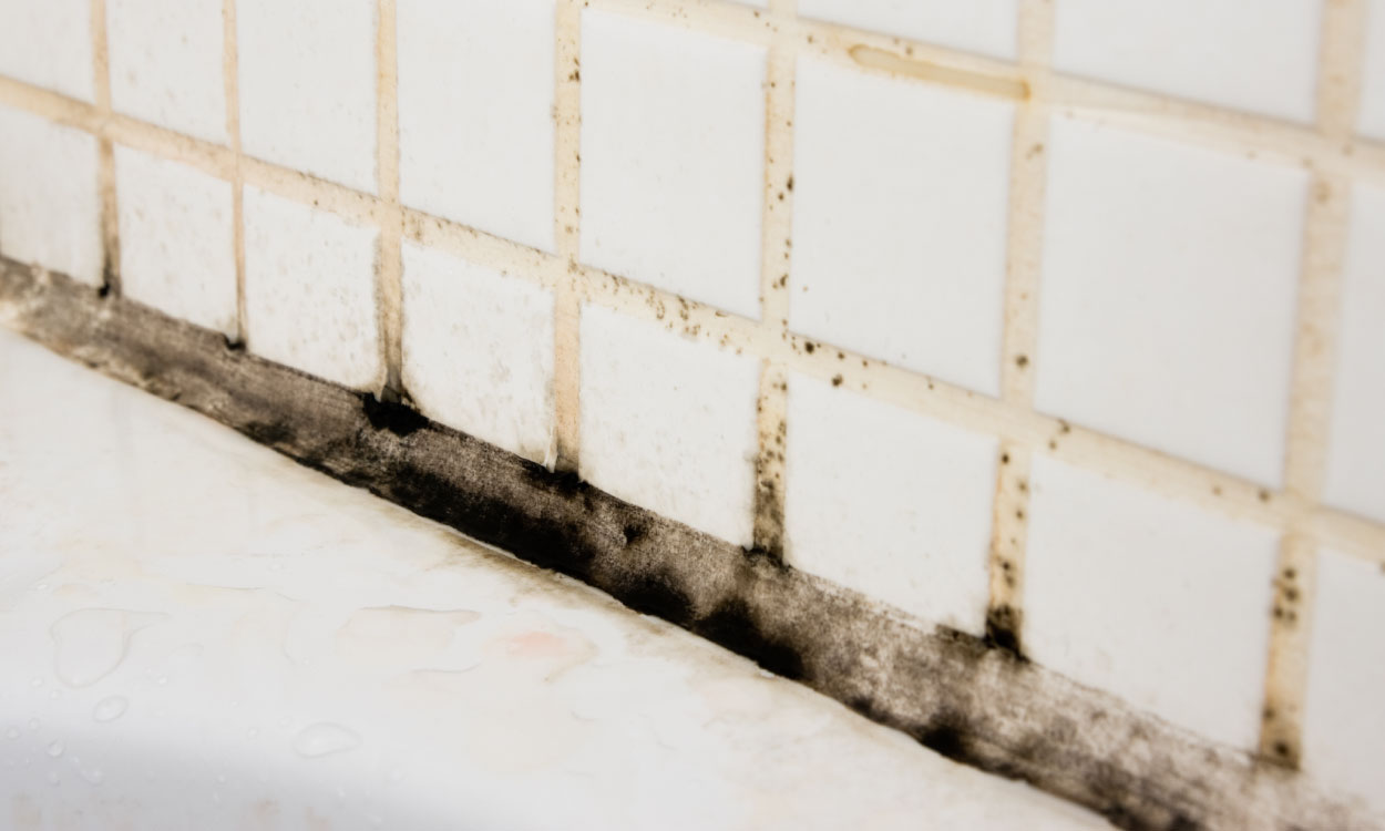 How to Get Rid of Mould in Bathroom The Homelife